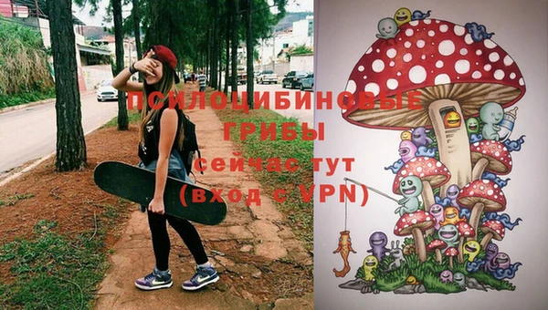а пвп мука Алзамай